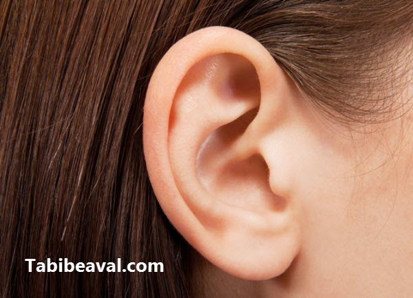 شستشوی گوش ها در منزل   طبیب اول