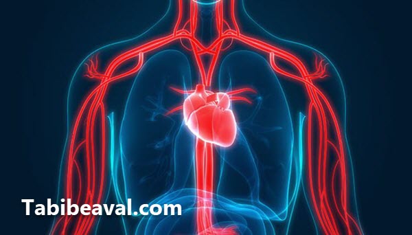 تشخیص انواع بیماری در منزل شرق تهران طبیب اول