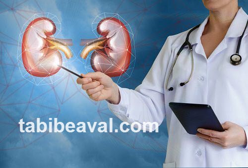 راه های پایین آوردن اوره و کراتین خون | طبیب اول